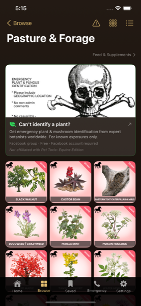 Pet Toxic Equine forage screen