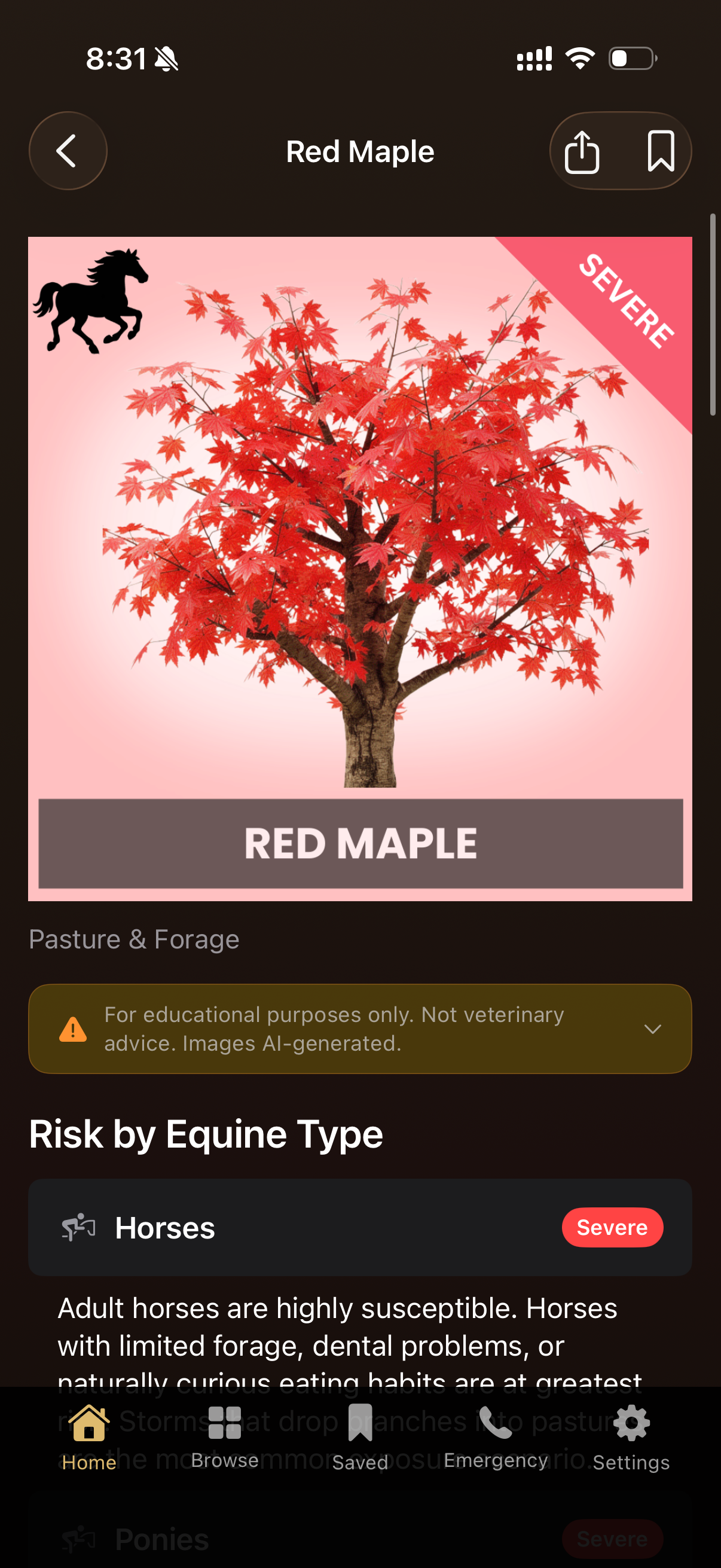 Pet Toxic Equine screenshot 3